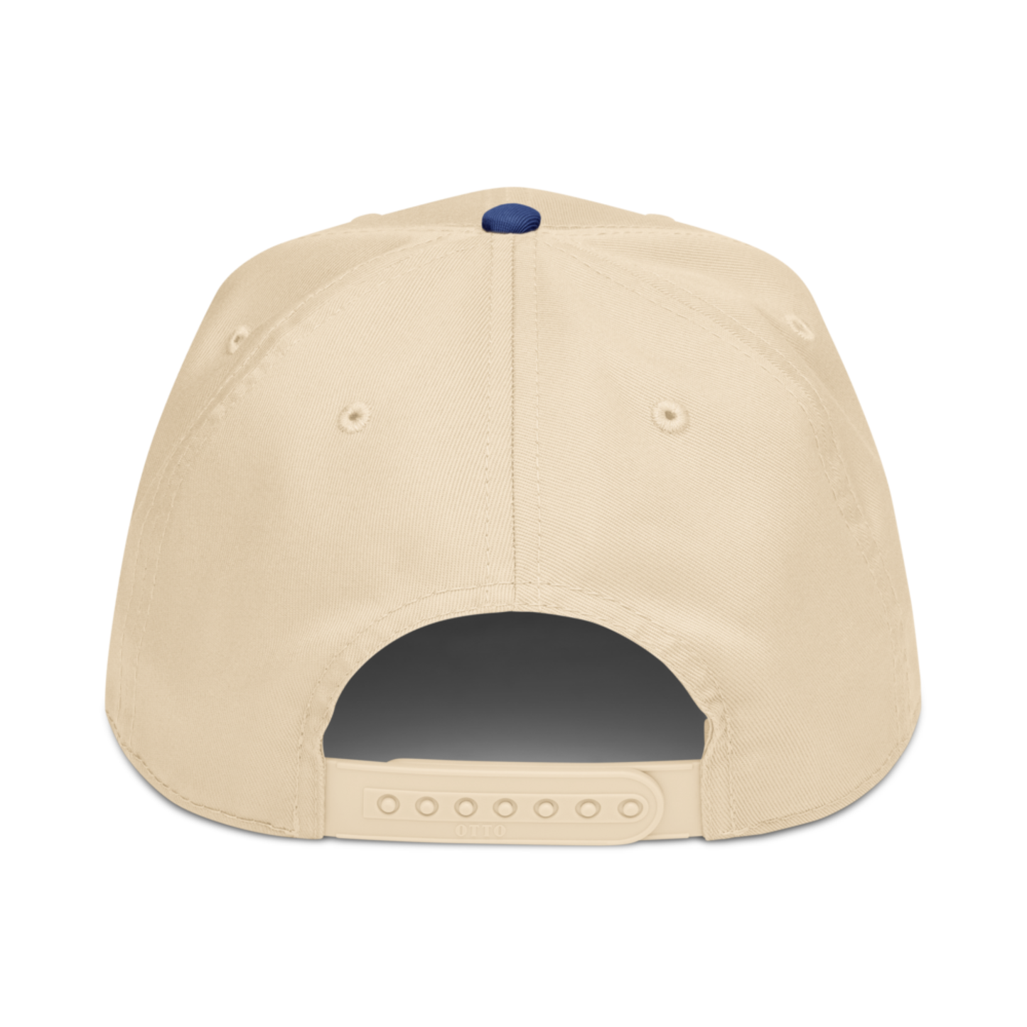 Findlay Classic Snapback Hat F NATURAL/BLUE